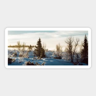 White Scandinavian Winter Landscape With Mysterious Fog on Sunny Sticker